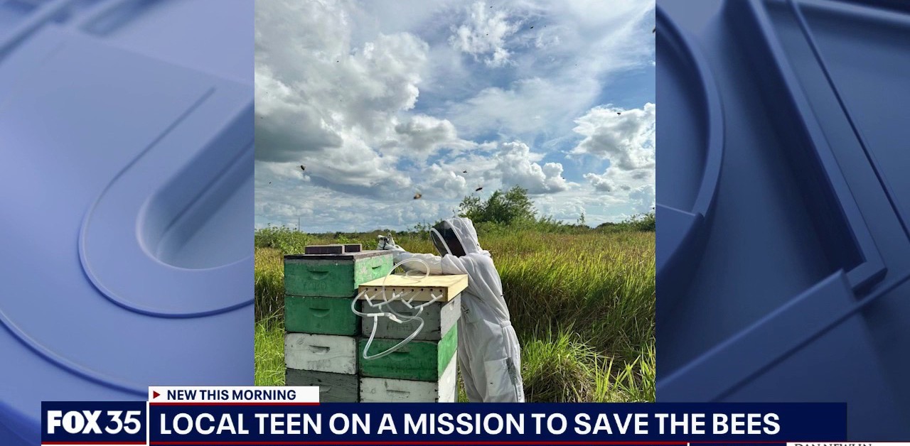 A FOX 35 Orlando broadcast still of Aakash Manaswi's beehive research
